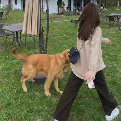 冒牌老爸